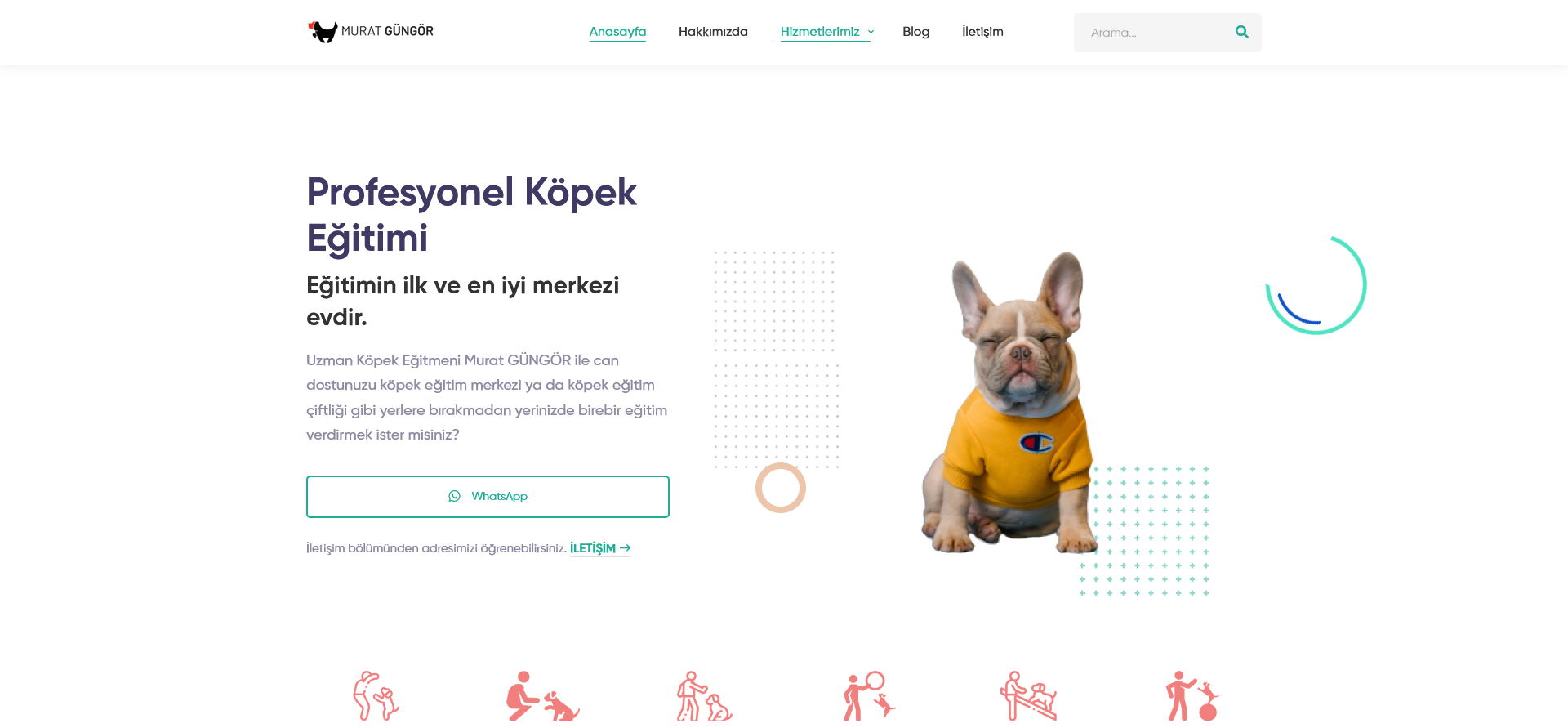 Murat Güngör Köpek Eğitimi - Web Tasarım referans projesi